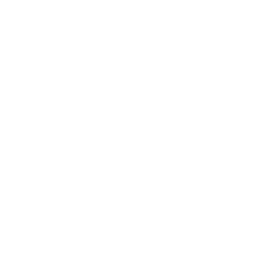 Kurtosis Labs